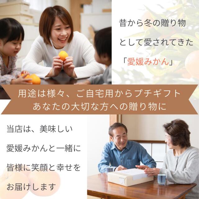 ファミリー用みかん