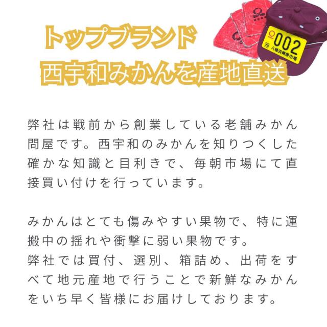 ファミリー用みかん