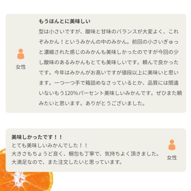 ファミリー用みかん