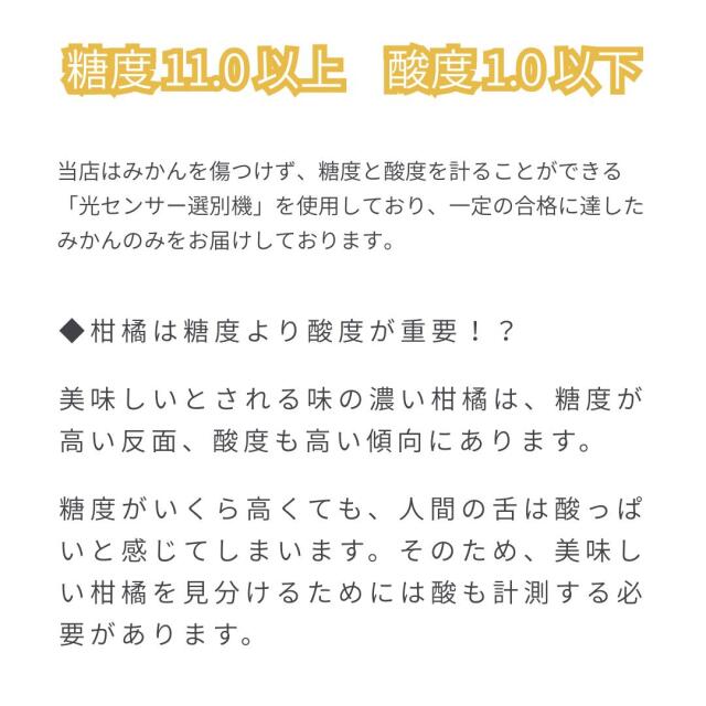 ファミリー用みかん