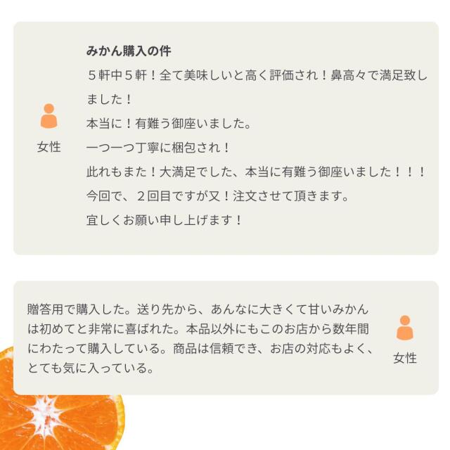 柑橘の一大産地・愛媛県西宇和地方より贈答みかんのご予約受付開始