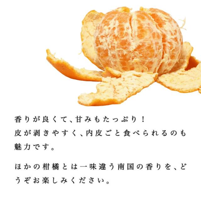 柑橘王国・愛媛県から産地直送！豊かな香りとしっかりとした甘みが特徴