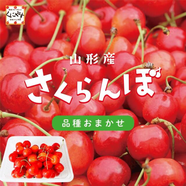 「さくらんぼ おまかせ 180g×2パック」【送料無料】【産地直送】山形産 さくらんぼ 品種おまかせ Mサイズ以上 約360g(180g×2パック) 家庭用 【予約品】6月上旬～下旬頃発送予定