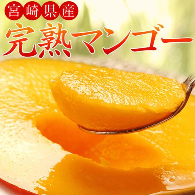 芳醇な香りと濃厚な甘さが特徴の高級フルーツ・宮崎マンゴーが今年も登場！