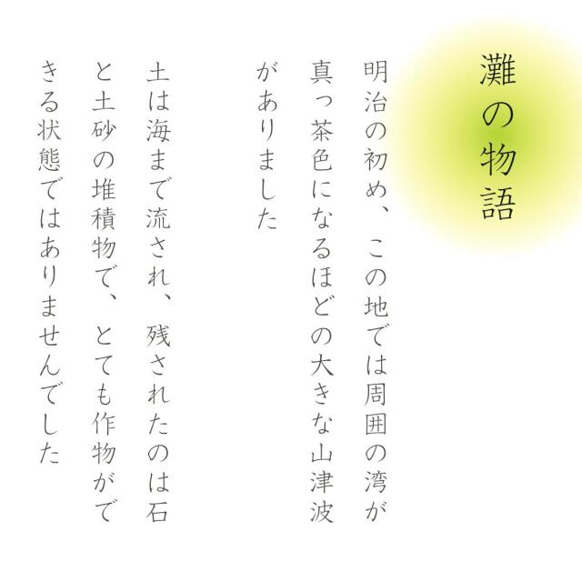 ギフトにも家庭用にも！愛媛県佐田岬産の最上級ナダオレンジ【10kg】