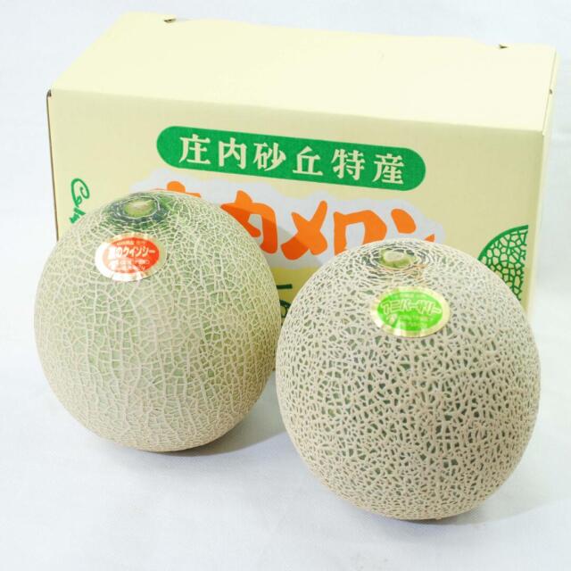 庄内砂丘メロン
