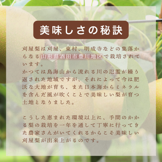 刈屋梨
