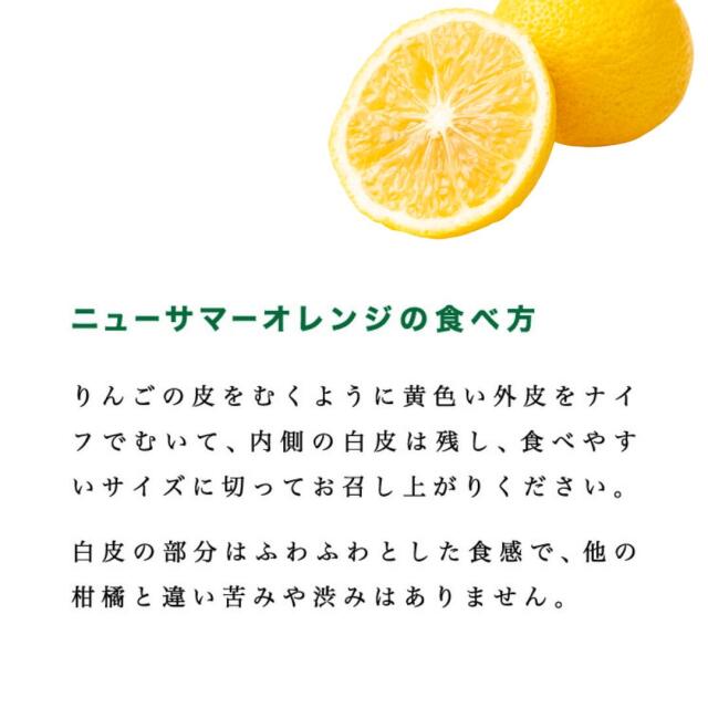 まずは少量から試したい方におすすめ！愛媛西宇和産のニューサマー