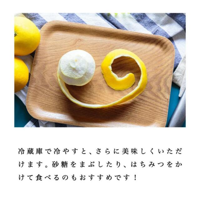 まずは少量から試したい方におすすめ！愛媛西宇和産のニューサマー