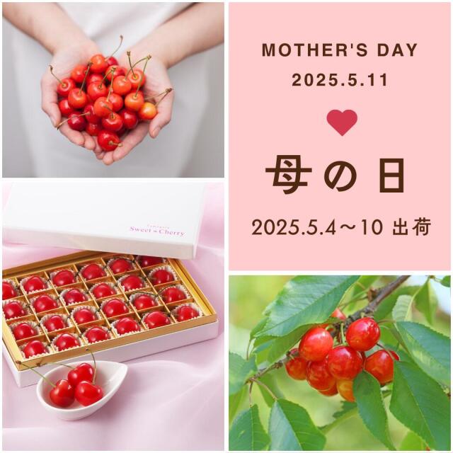 母の日さくらんぼ
