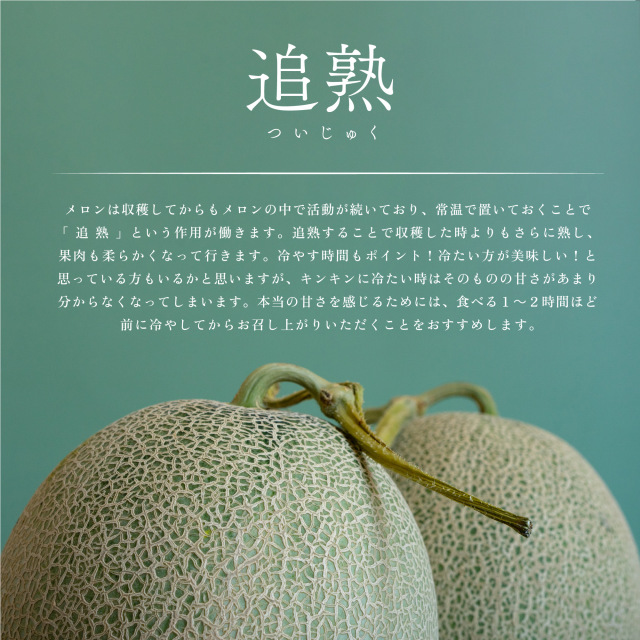 新発売！ご予約受付開始！☆ジューシーでなめらかな口当たり