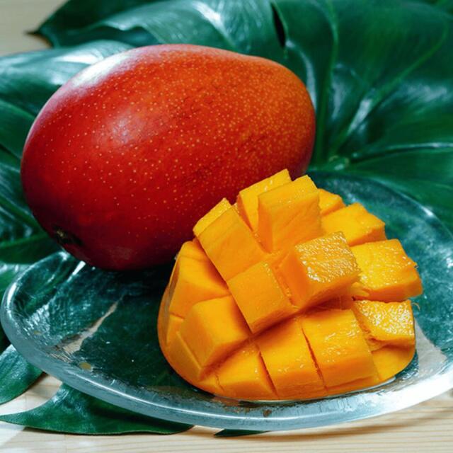 みやざき完熟マンゴー