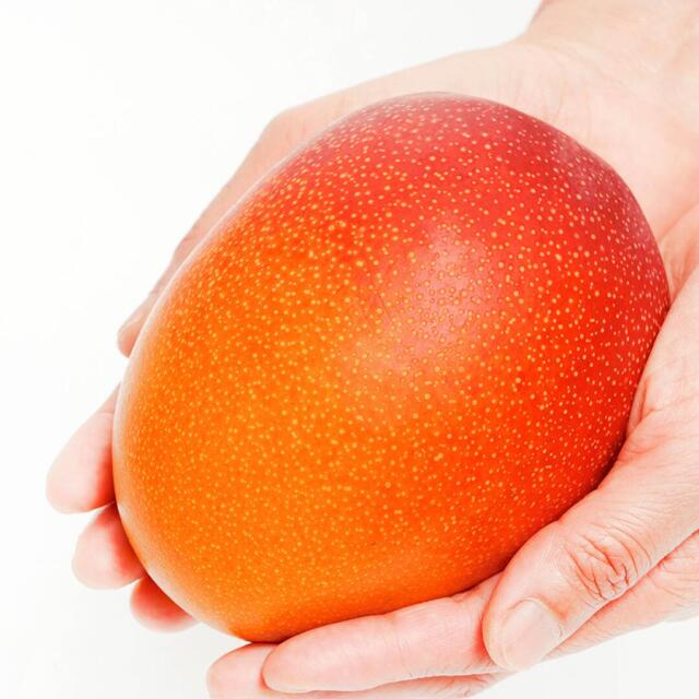 みやざき完熟マンゴー