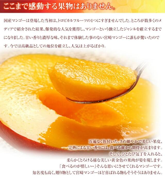 みやざき完熟マンゴー