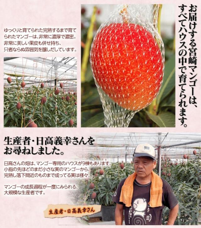 みやざき完熟マンゴー