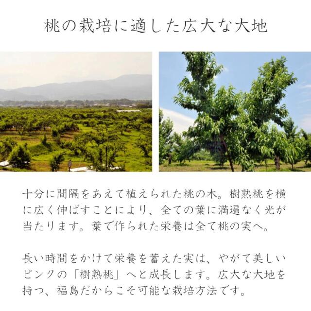 蜜姫