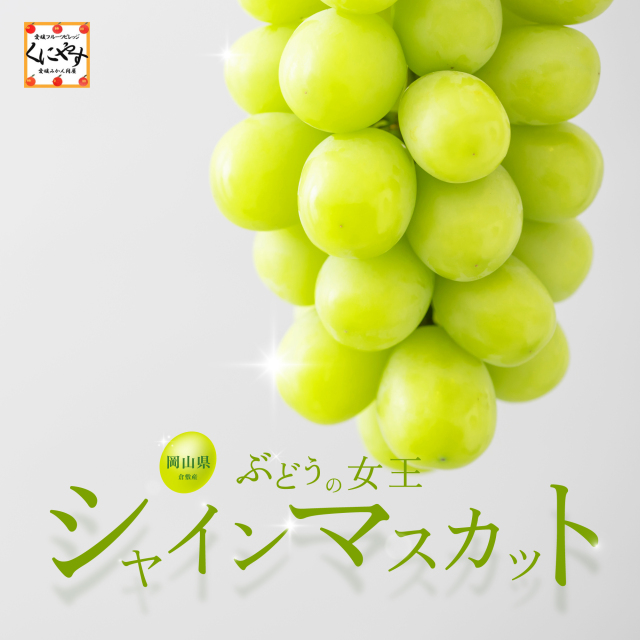 「岡山産シャインマスカット」★予約販売開始★ 【送料無料】【ギフト】岡山県産 シャインマスカット 約800g～約2kg