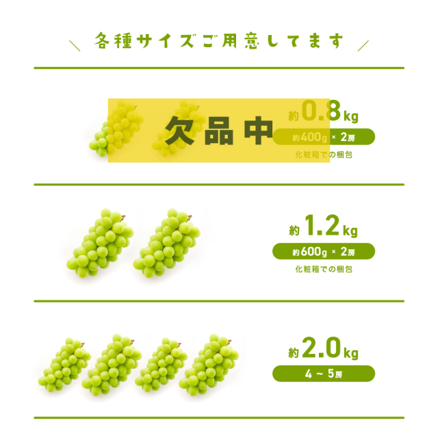岡山産シャインマスカット