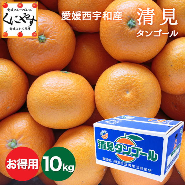お得清見10kg