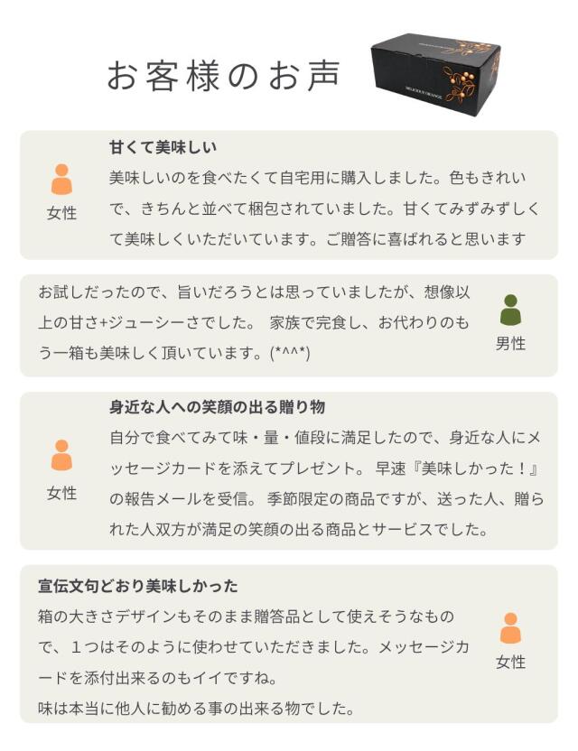 はるみ9Kg×2箱　【２箱縛りでの発送】 果物