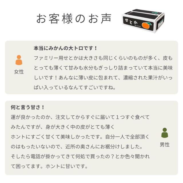 みかんの大トロ「せとか」を愛媛西宇和より産地直送【ファミリー用10kg】