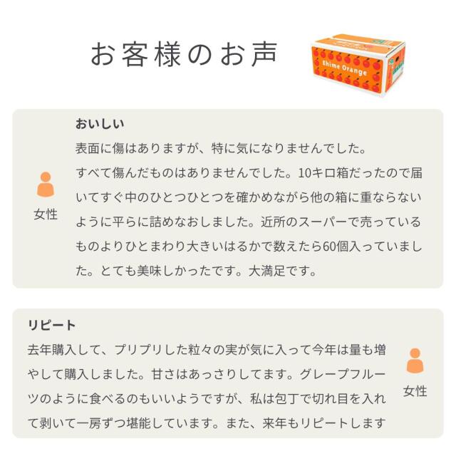 悠海様~☆お得意様ご予約分10キロ箱詰め発送+KN KSカートン折 No.4×100枚 : パッケージ中澤 | スモールビジネスのため