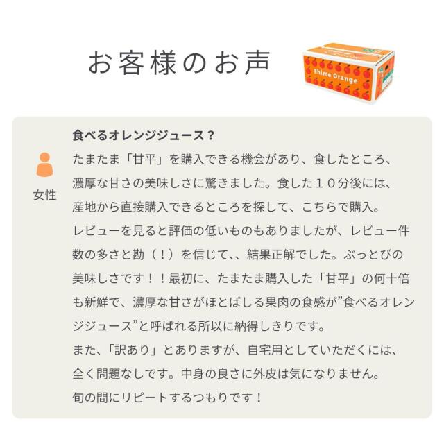 愛媛オリジナル品種の希少柑橘・甘平をお値打ち価格で販売中【訳あり10kg】