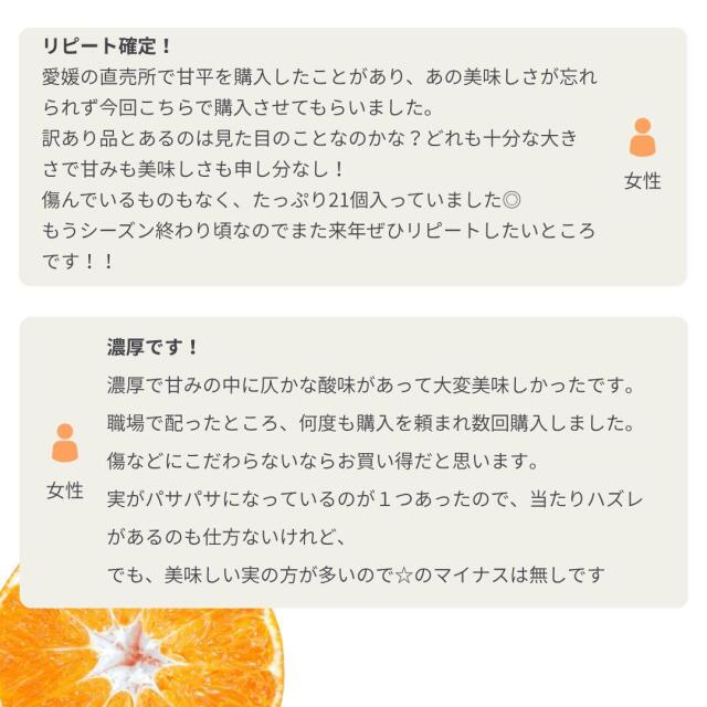 愛媛オリジナル品種の希少柑橘・甘平をお値打ち価格で販売中【訳あり10kg】