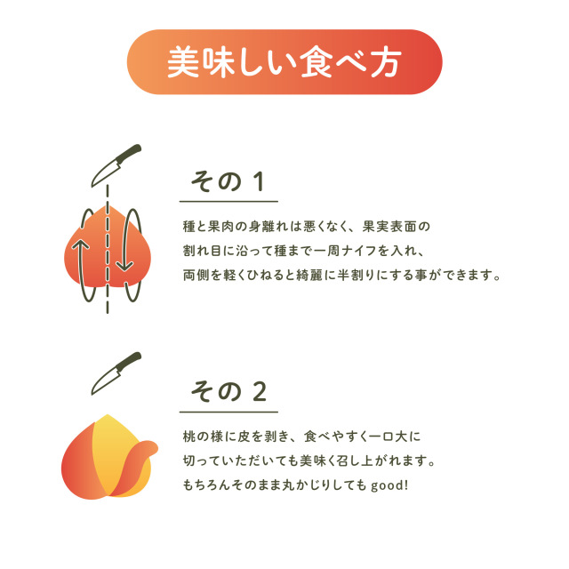 華やかで甘い香りのすもも（プラム）を山形県より産地直送でお届けします