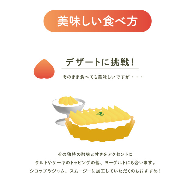 華やかで甘い香りのすもも（プラム）を山形県より産地直送でお届けします
