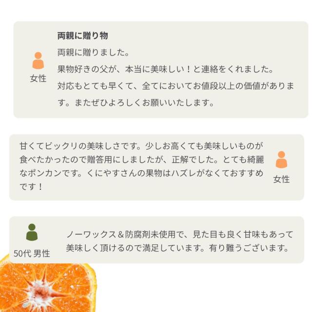 柑橘王国・愛媛県から産地直送！豊かな香りとしっかりとした甘みが特徴