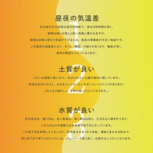 プレミアムメロン