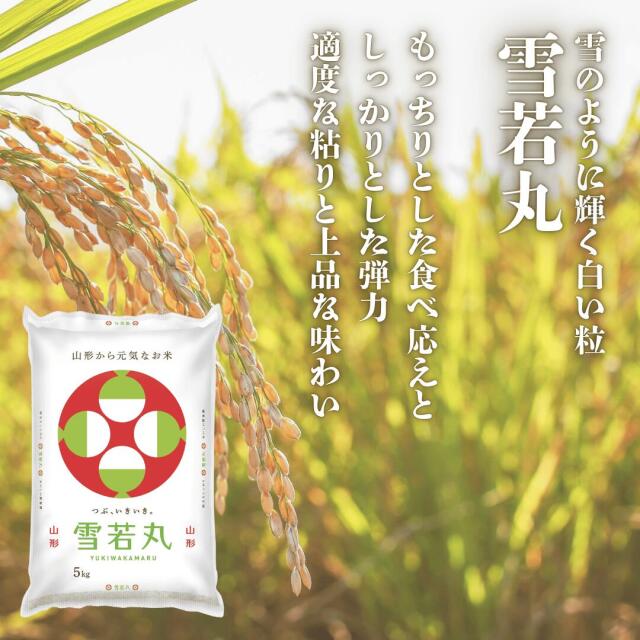 米どころ山形県より令和7年度の新米が新登場！人気の三銘柄からお選