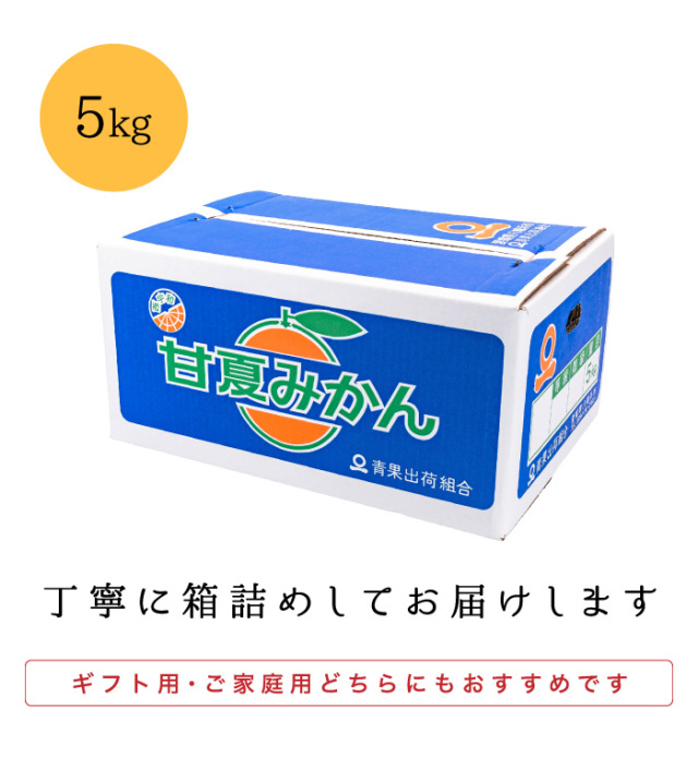 ファミリー5kg箱