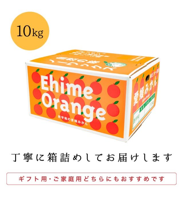 愛媛県西宇和産極早生みかん ファミリー用10kg