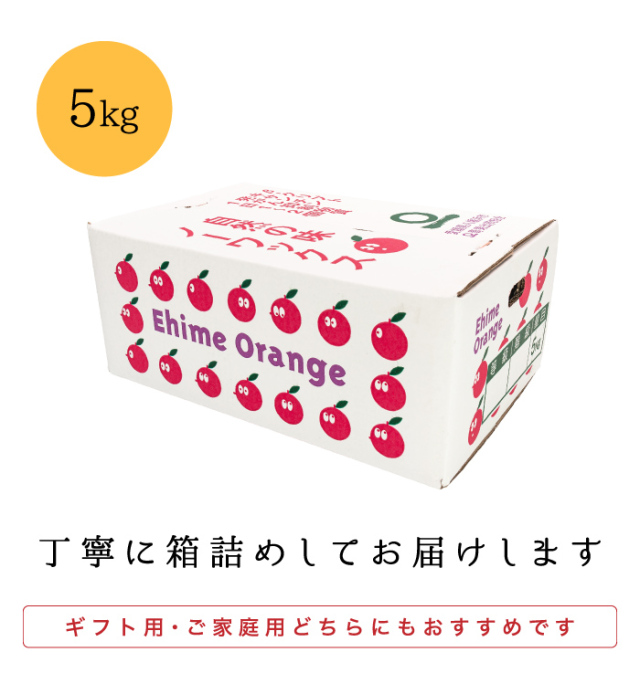 愛媛県西宇和産極早生みかん ファミリー用5kg