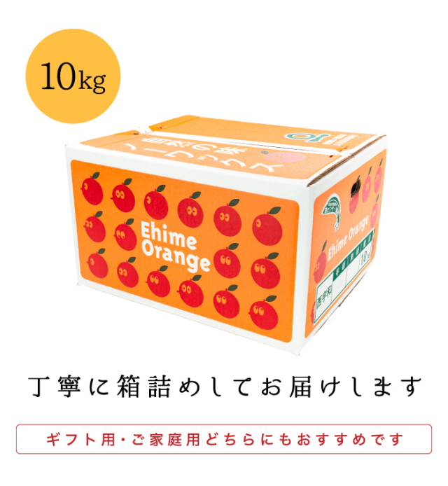 複数画像用