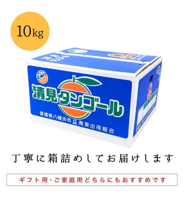 ファミリー箱