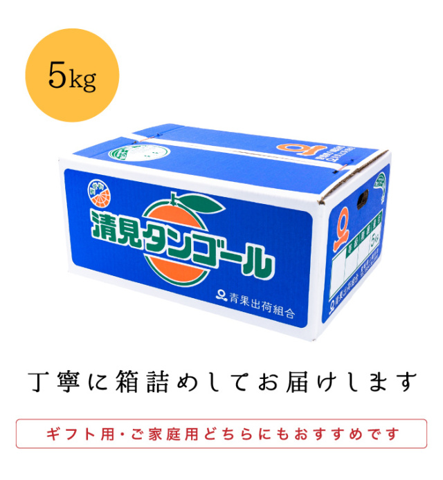 ファミリー箱