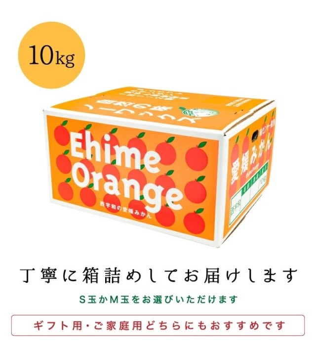 ファミリーみかん10kg箱