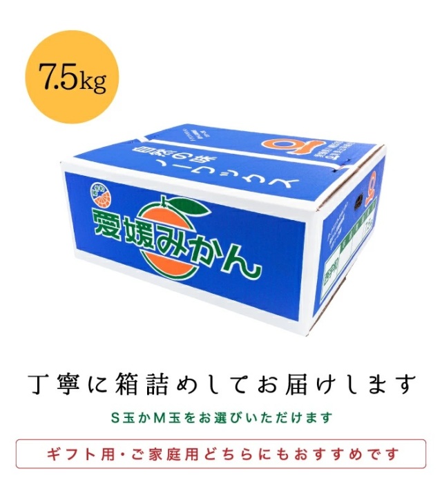 ファミリーみかん7.5kg箱