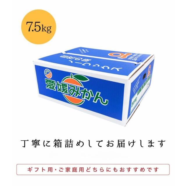 ファミリーみかん
