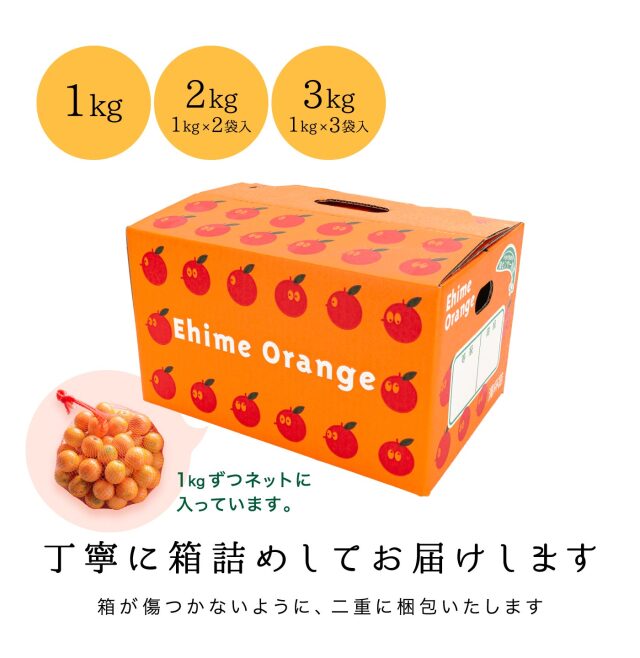 皮ごとまるかじり!宮崎産の完熟金柑はそのまま食べてもよし 皮ごとまるかじり!宮崎産の完熟金柑はそのまま食べてもよし