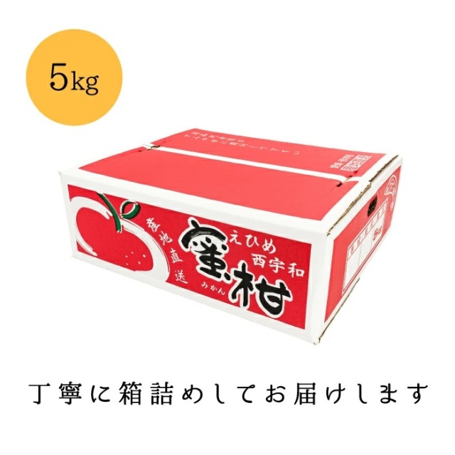 お試しみかん5kg