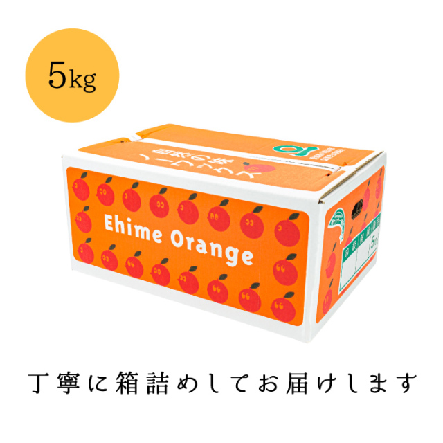 5kg箱