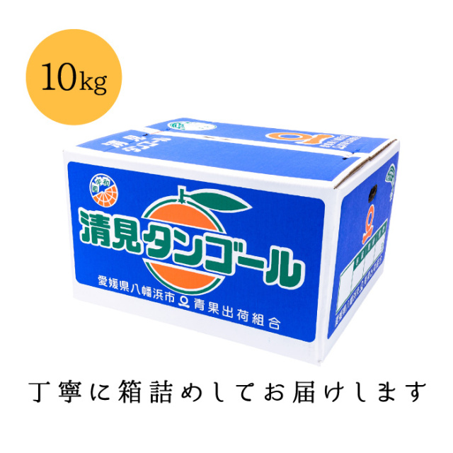 お得箱