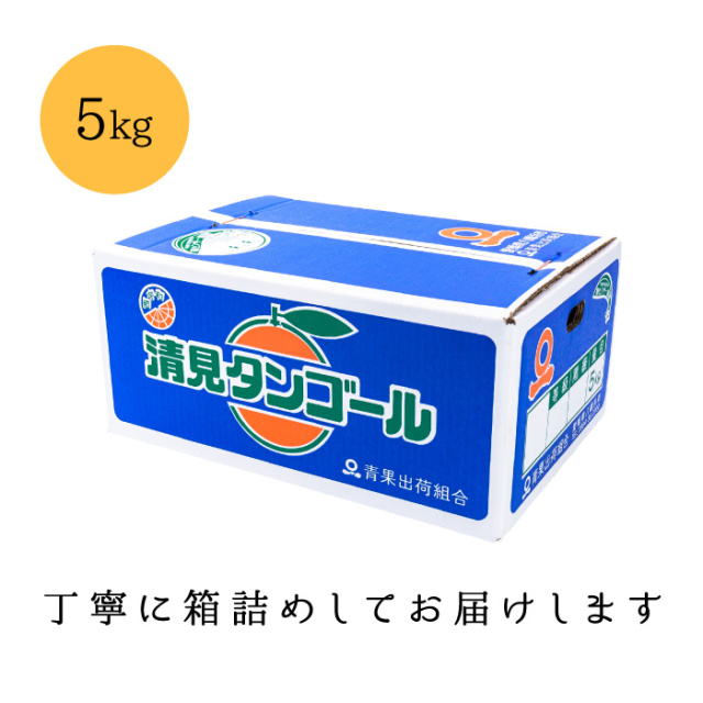 お得箱