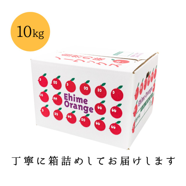 たっぷり10kg！初夏の高級柑橘ナダオレンジを愛媛西宇和地方より産地直送
