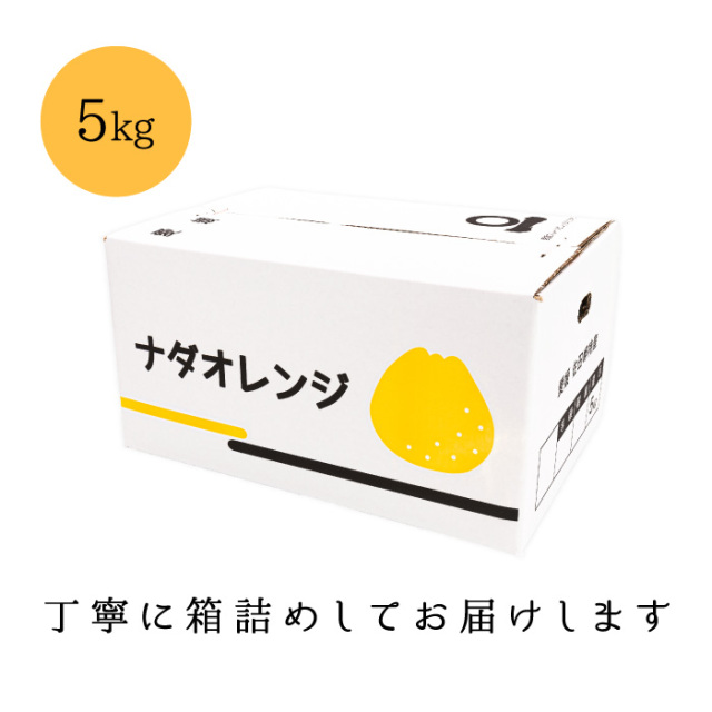 柑橘さん専用 たっぷり5kg！初夏の高級柑橘ナダオレンジを愛媛西宇和地方より産地直送