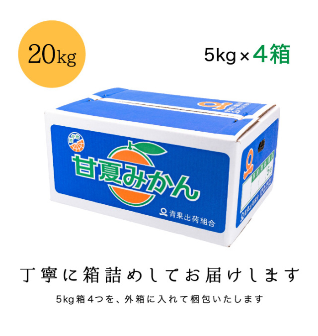 訳あり20kg箱
